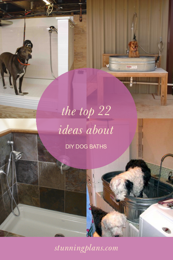 The top 22 Ideas About Diy Dog Baths Home, Family, Style and Art Ideas